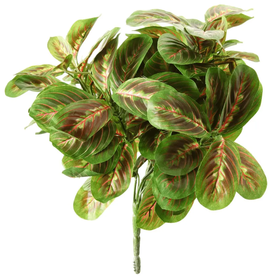 Arbusto Marantea Artificial, 30 Cm