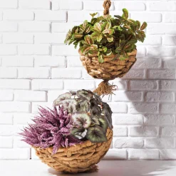 Arbusto Marantea Artificial, 30 Cm