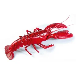 Bogavante Alimento De Imitación