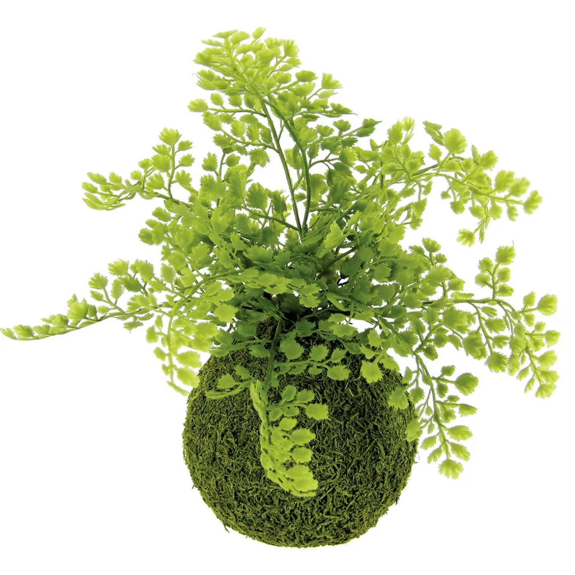 Bola De Musgo Artificial Con Helecho Culantrillo 30 Cm