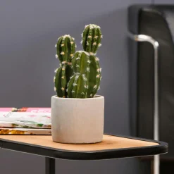 Cactus Artificial En Maceta 23 Cm