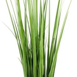 Carrizo Decorativo, 150 Cm