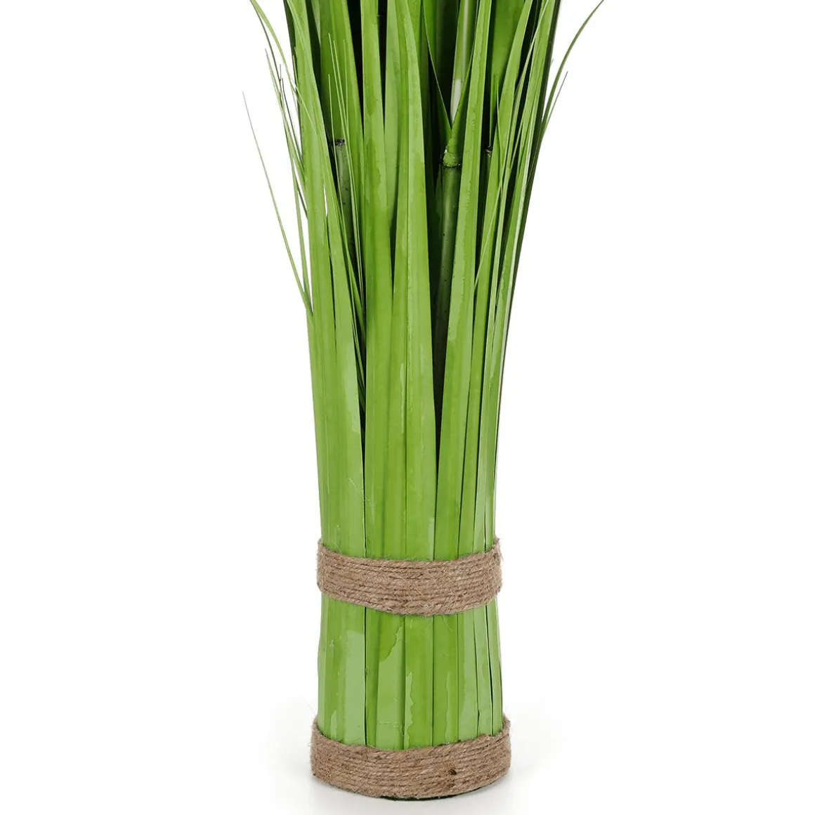 Carrizo Decorativo, 150 Cm