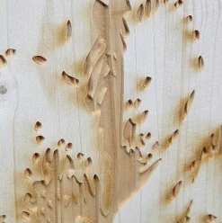 Conjunto De Murales Pirograbado