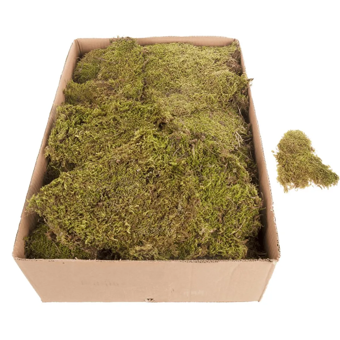 Esteras De Musgo, Placas De Musgo 2 Kg
