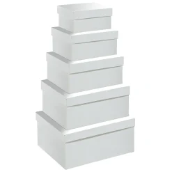 Estuche Regalo Con Tapa Blanco Metalizado 5pcs.