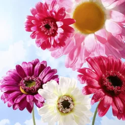 Flor De Gerbera Gigante Artificial, Blanco