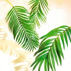 Fronda De Areca Gigante Decorativa, Longitud 180 Cm