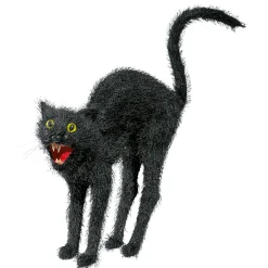 Gato Negro