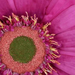 Gerbera Gigante Morado, 45 Cm Ø