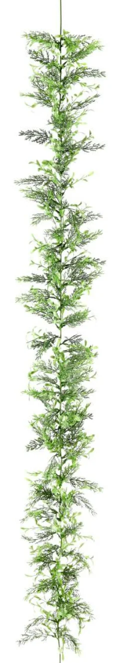 Guirnalda De Ciprés Y Boje, Longitud: 170 Cm