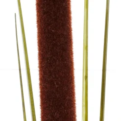 Hierba De Caña Deco 120 Cm Pack De 3