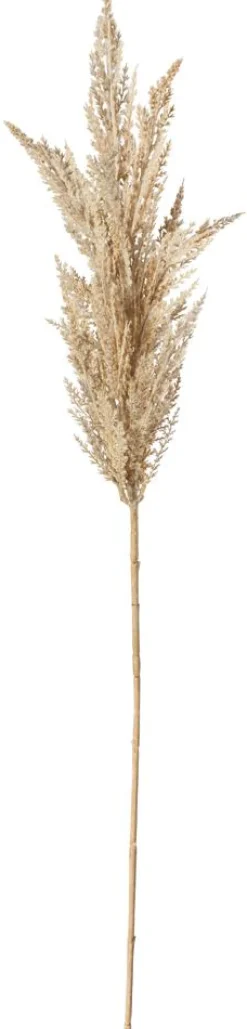 Hierba De La Pampa De Caña Decorativa, 94 Cm