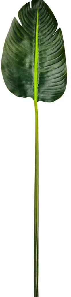 Hoja De Banana Artificial, 75 Cm De Largo