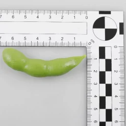 Imitación De Judías Verdes, 10 Piezas