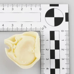 Imitación De Tortellini, 10 Unidades