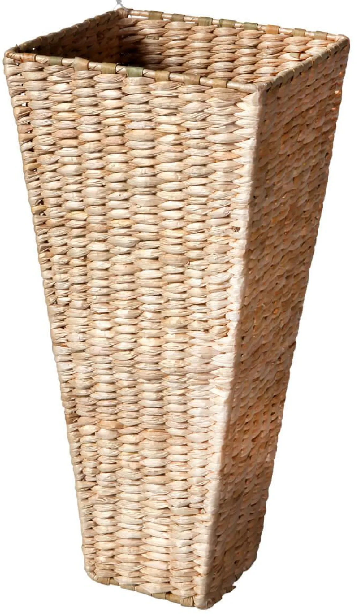 Jarrón De Jacinto De Agua 42 Cm