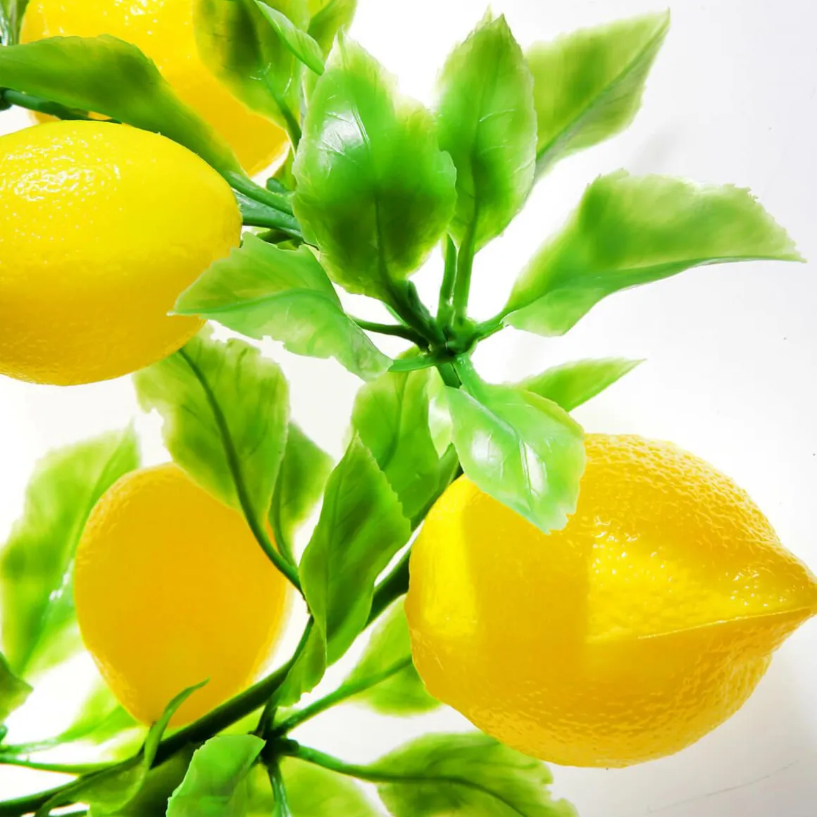 Limonera Artificial 200 Cm