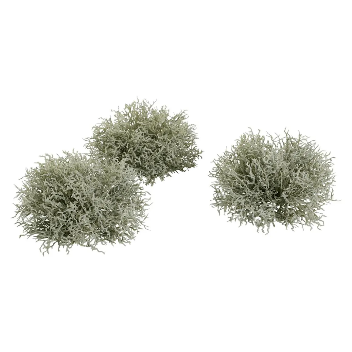 Liquen Artificial, 3 Piezas