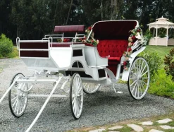 Lona XXL "Carroza De Boda Blanca" De Lona De Camión Ignífuga 250 X 330 Cm
