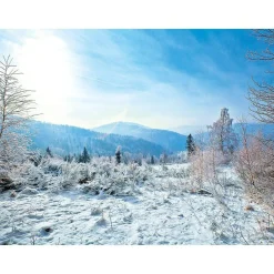 Lona XXL "Paisaje De Invierno" De Lona De Camión Ignífuga 250 X 330 Cm