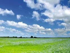 Lona XXL "Pradera Y Cielo Nublado" De Lona De Camión Ignífuga 250 X 330 Cm