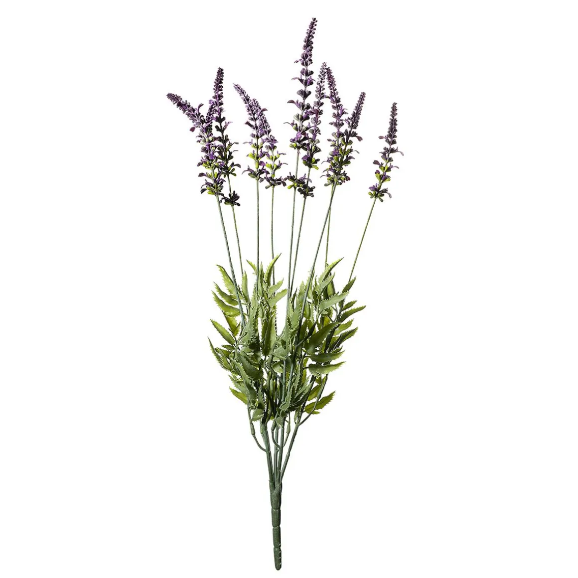 Manojo De Hierba De Lavanda Deco 55 X 25 Cm (HxA)