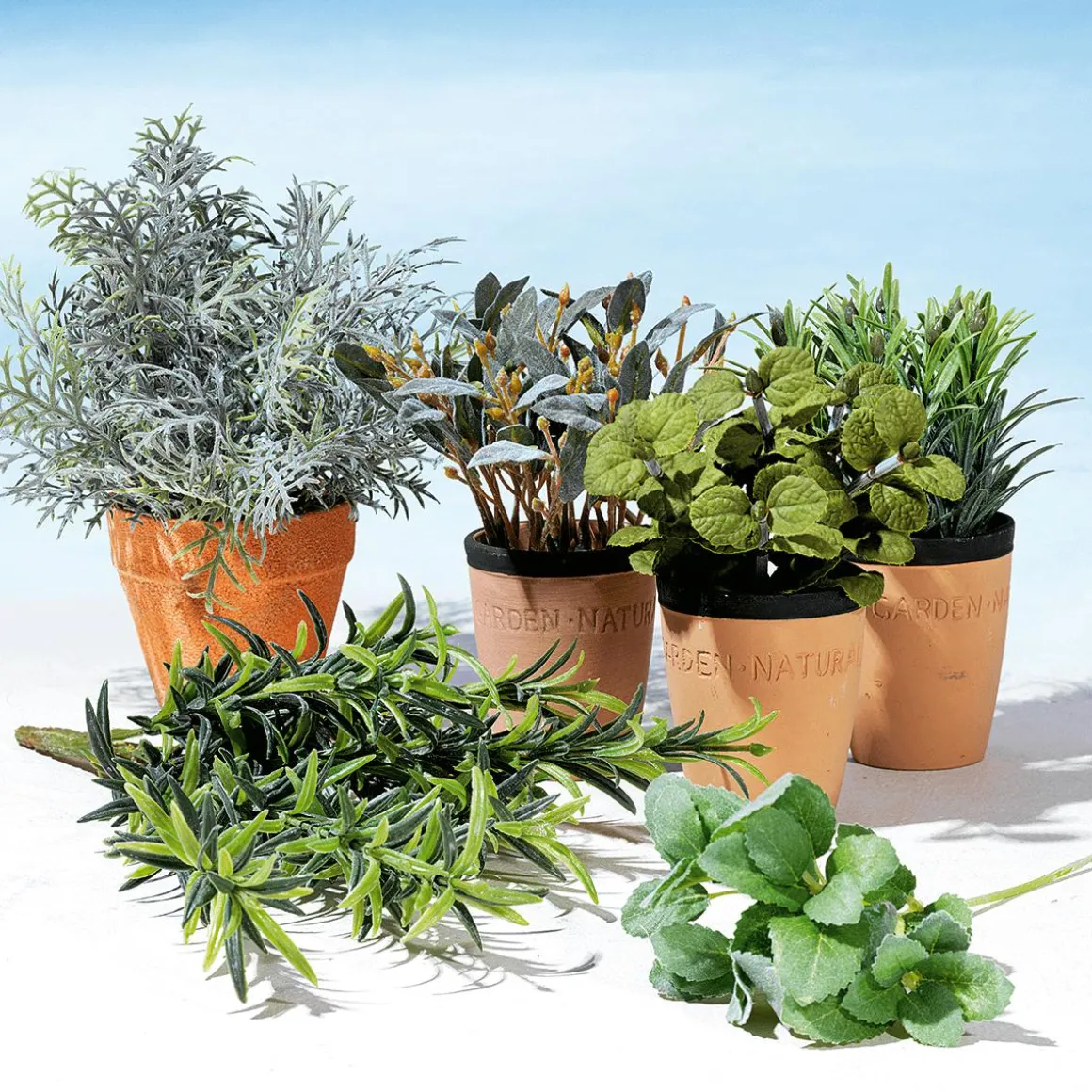 Menta Decorativa En Tiesto De Barro 20 Cm