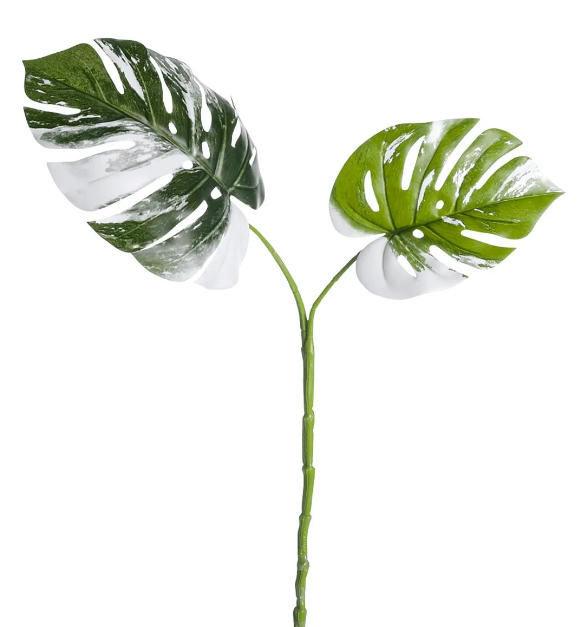 Monstera Deliciosa Artificial Albo Variegata Hojas-Rama 85 Cm
