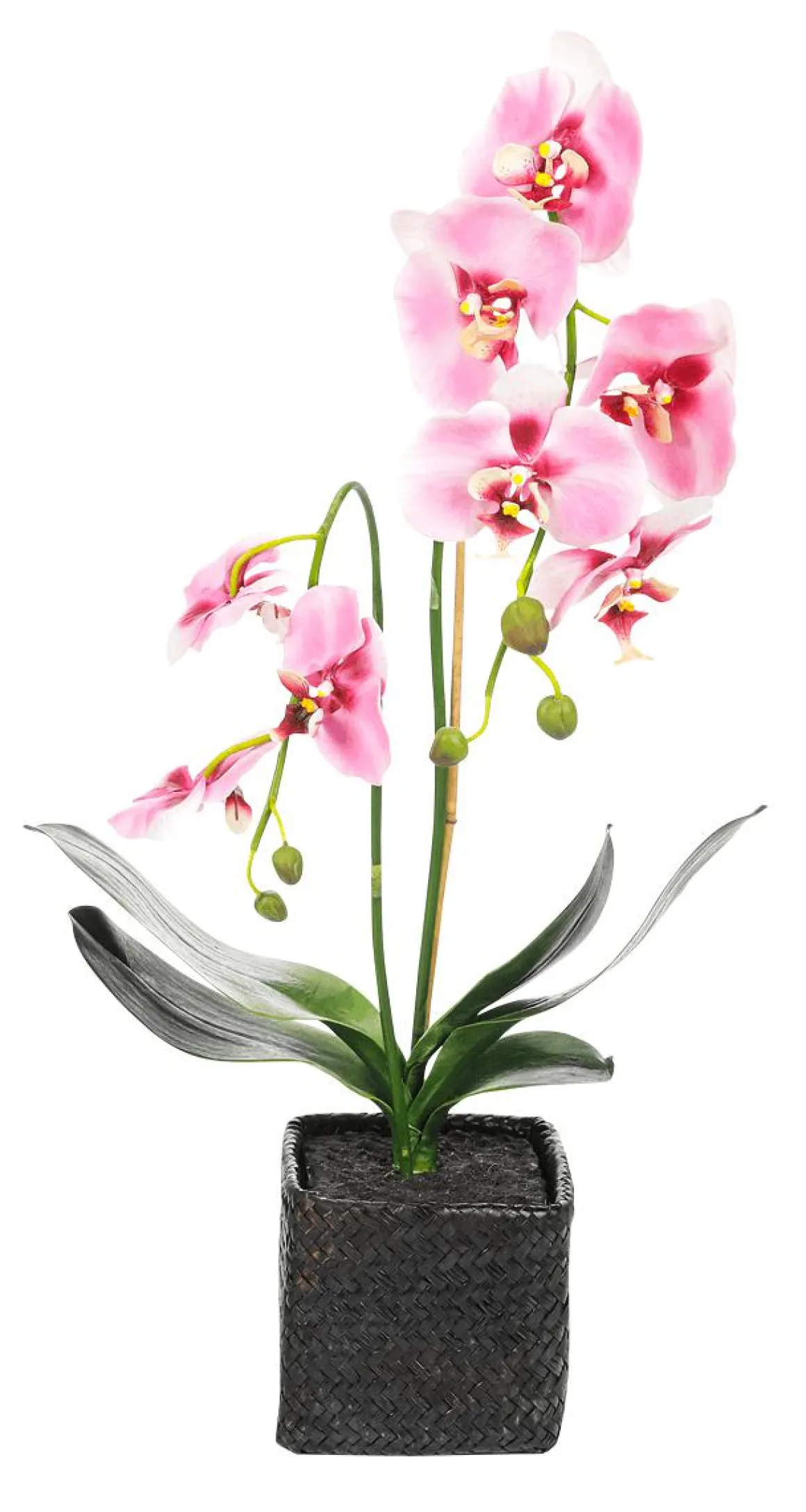 Orquídea Decorativa En Maceta Rosa 80 Cm