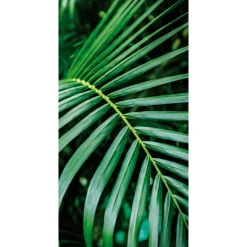 Pancarta De Tela Ignífuga "Palm Frond" De Tela De Bandera 100 X 200 Cm