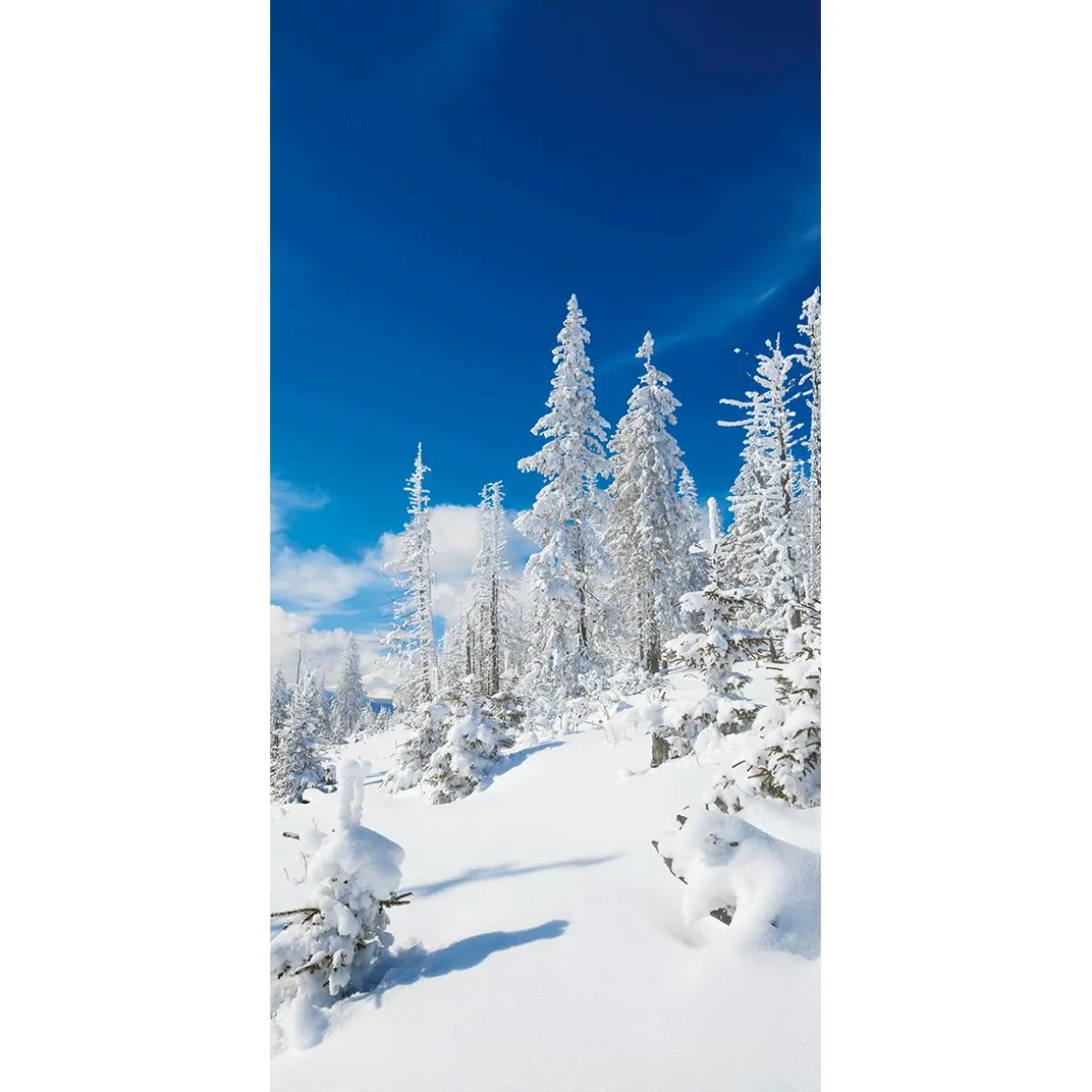 Pancarta De Tela Ignífuga "Snowy Winter Firs" De Tela De Bandera 100 X 200 Cm