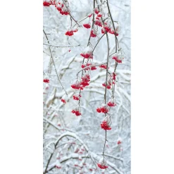 Pancarta De Tela Ignífuga "Bayas De Invierno" De Tela De Bandera 100 X 200 Cm