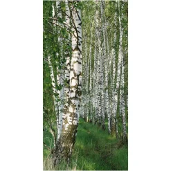 Pancarta Ligera De Fibra Natural "Bosque De Abedules" De Algodón 100 X 200 Cm