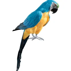 Papagayo Decorativo Azul-amarillo, Longitud 70 Cm