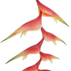 Pinzas De Langosta De Heliconia Artificial 30 X 96 Cm Naranja