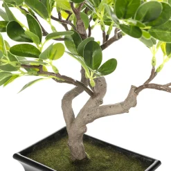 Planta Artificial Bonsái Hoja De Centavo En Maceta 28 X 11 X 34 Cm (ancho X Largo X Alto)