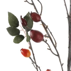 Rama De Escaramujo
