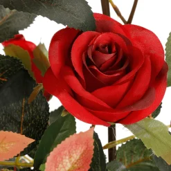 Ramo De Rosas En Maceta 115 Cm