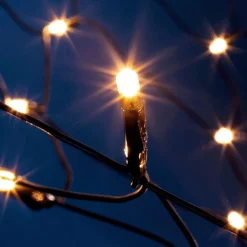 Red De Luz LED Para Exterior, 240 Cm, Verde