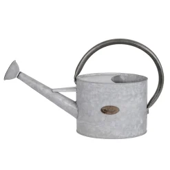 Regadera De Zinc De 47 Cm