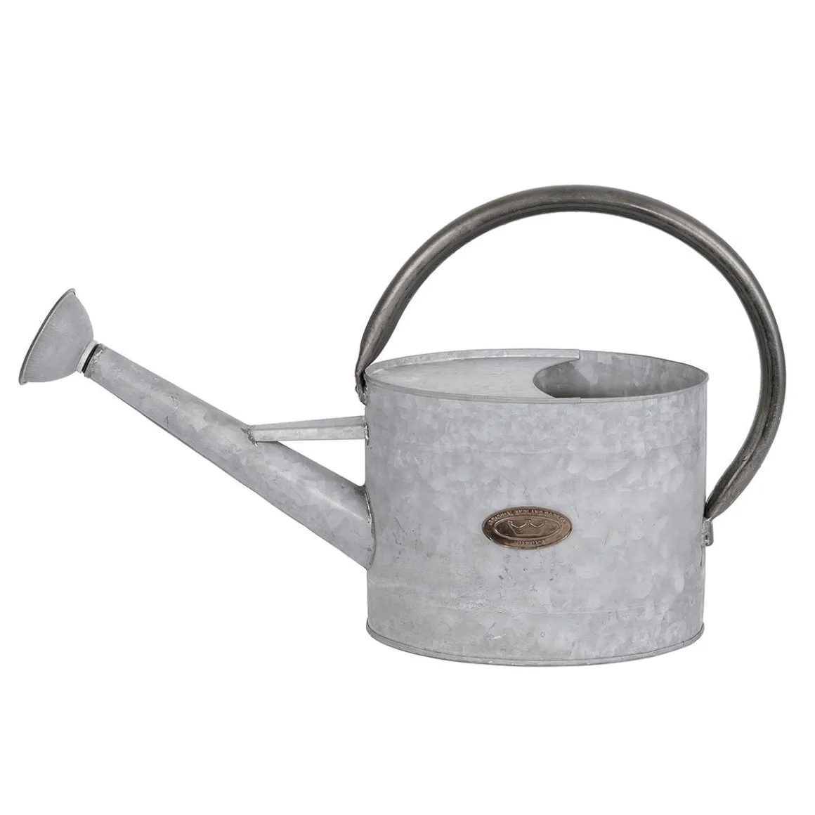 Regadera De Zinc De 47 Cm