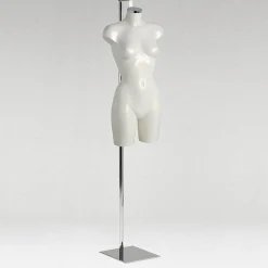 Soporte Metálico Para Torsos, Alojamiento Para Sujeción De Nuca