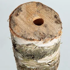 Tronco De Abedul 100 Cm Aprox. 6-10 Cm Ø