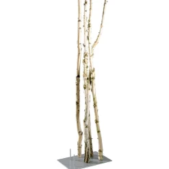 Troncos De Abedul Decorativos, 220 Cm