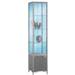 Vitrina Con Compartimento Cerrado, 186 X 40 X 40 Cm